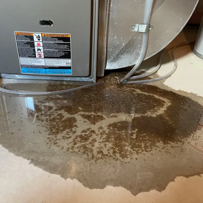 Appliance Leak Cleanup in Bakersfield, CA